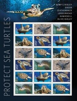 Turtles-Inspired Stamp Designs