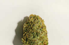 Potent Indica Strains