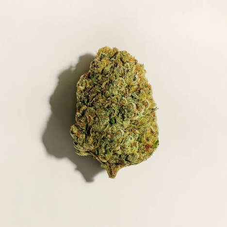 Potent Indica Strains