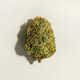 Potent Indica Strains Image 1