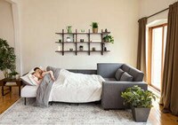 Versatile Sofa-Bed Designs Image 4