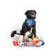 Sports-Themed Pet Products Image 1