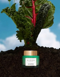 Upcycled Kale Moisturizers Image 1