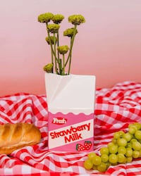 Playful Packaging-Inspired Vases Image 2