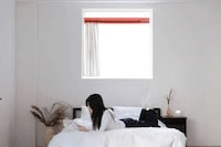 Window Covering Projector Systems