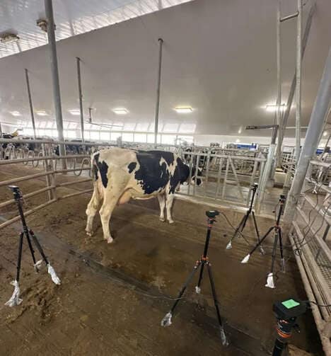 AI Cow Health Tools
