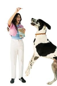 Flavorful Pet Jerky Bundles