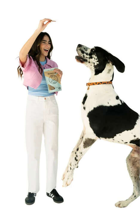 Flavorful Pet Jerky Bundles