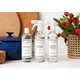 Luxe Minimalist Home Cleaners Image 1