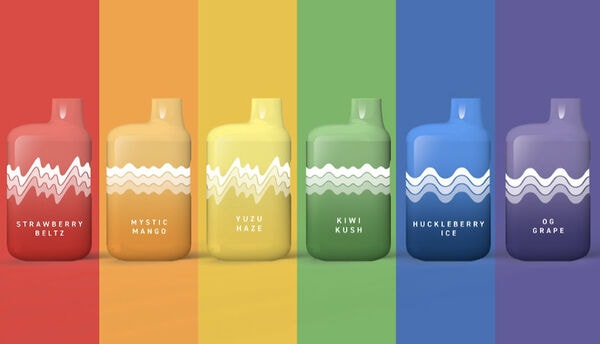 Flavorful Compact All-in-One Vaporizers