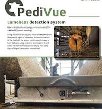 AI-Powered Cattle Solutions Image 1