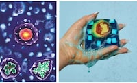 Whimsical Artist-Inspired Soap Collections Image 5