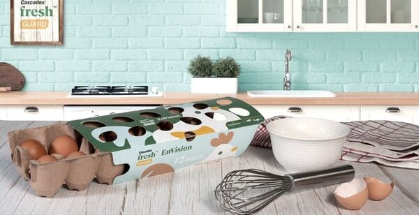 Durable Egg Packaging Designs