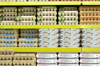 Durable Egg Packaging Designs Image 2