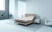 Cost-Conscious Smart Beds Image 1