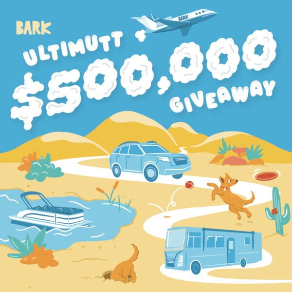Premium Pet-Friendly Getaways