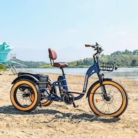 Full-Suspension Electric Lifestyle Trikes Image 3