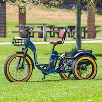 Full-Suspension Electric Lifestyle Trikes Image 4