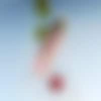 Organic Vitamin C Serums Image 1