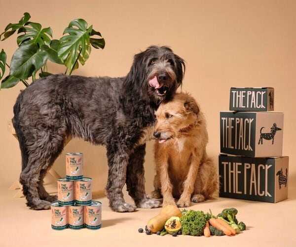 Planet-Friendly Dog Foods