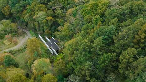 Angled Concrete Forest Homes