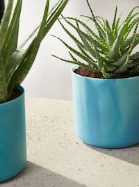 Ocean Plastic Pot Capsules Image 3