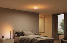 Subtle Smart Ceiling Lights