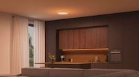 Subtle Smart Ceiling Lights Image 2