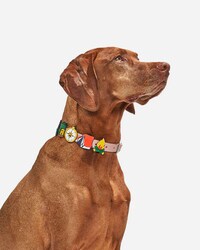 Camp-Inspired Dog Collar Charms Image 3