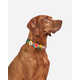 Camp-Inspired Dog Collar Charms Image 3