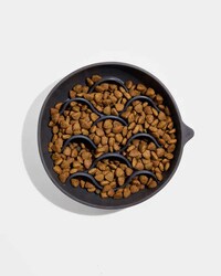 Modern Slow Dog Feeders Image 3