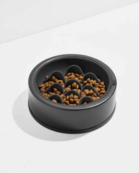 Modern Slow Dog Feeders Image 4