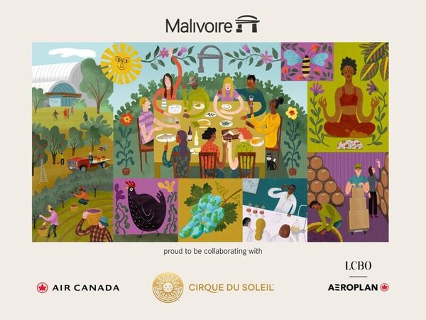 Premium Wine Collaborations