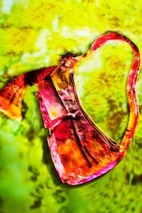 Climate Conscious Summer Bags Image 1