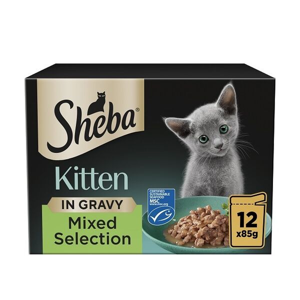 Premium Kitten Nutrition Pouches