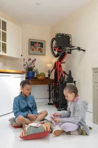 Cost-Conscious Cargo eBikes Image 5