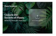 Plant-Identification Apps