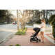 Eco-Friendly Lightweight Strollers Image 1