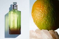Spiced Aquatic Designer Fragrances Image 1