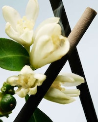 Spiced Aquatic Designer Fragrances Image 2