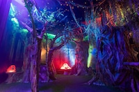 Immersive Art Escape Rooms Image 2