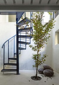 Nature Blending Modern Homes Image 3