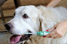Electrolytic Dog Toothbrushes