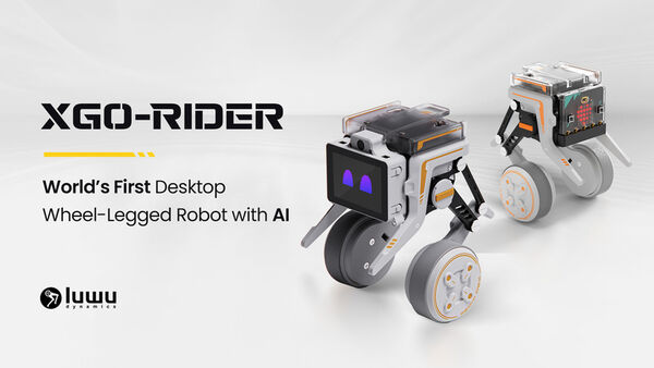 AI-Enhanced Desktop Robots