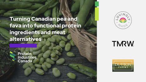 Plant-Based Protein Projects