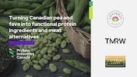 Plant-Based Protein Projects