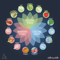 Nutrition Therapy Dog Foods Image 2