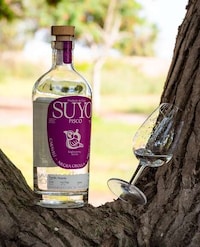 Experimental Peruvian Spirits Image 2