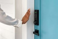 Palm-Recognizing Smart Locks Image 1