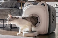 Autonomous Cat-Grooming Structures